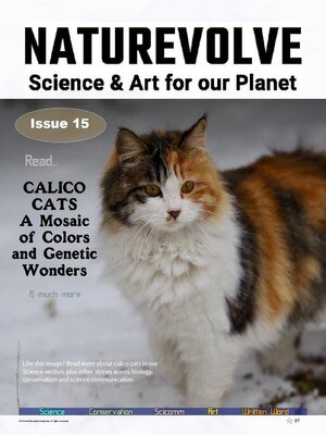 NatureVolve - Magazine